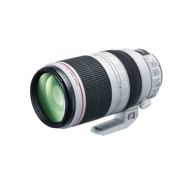 Lente Canon EF 100-400mm
